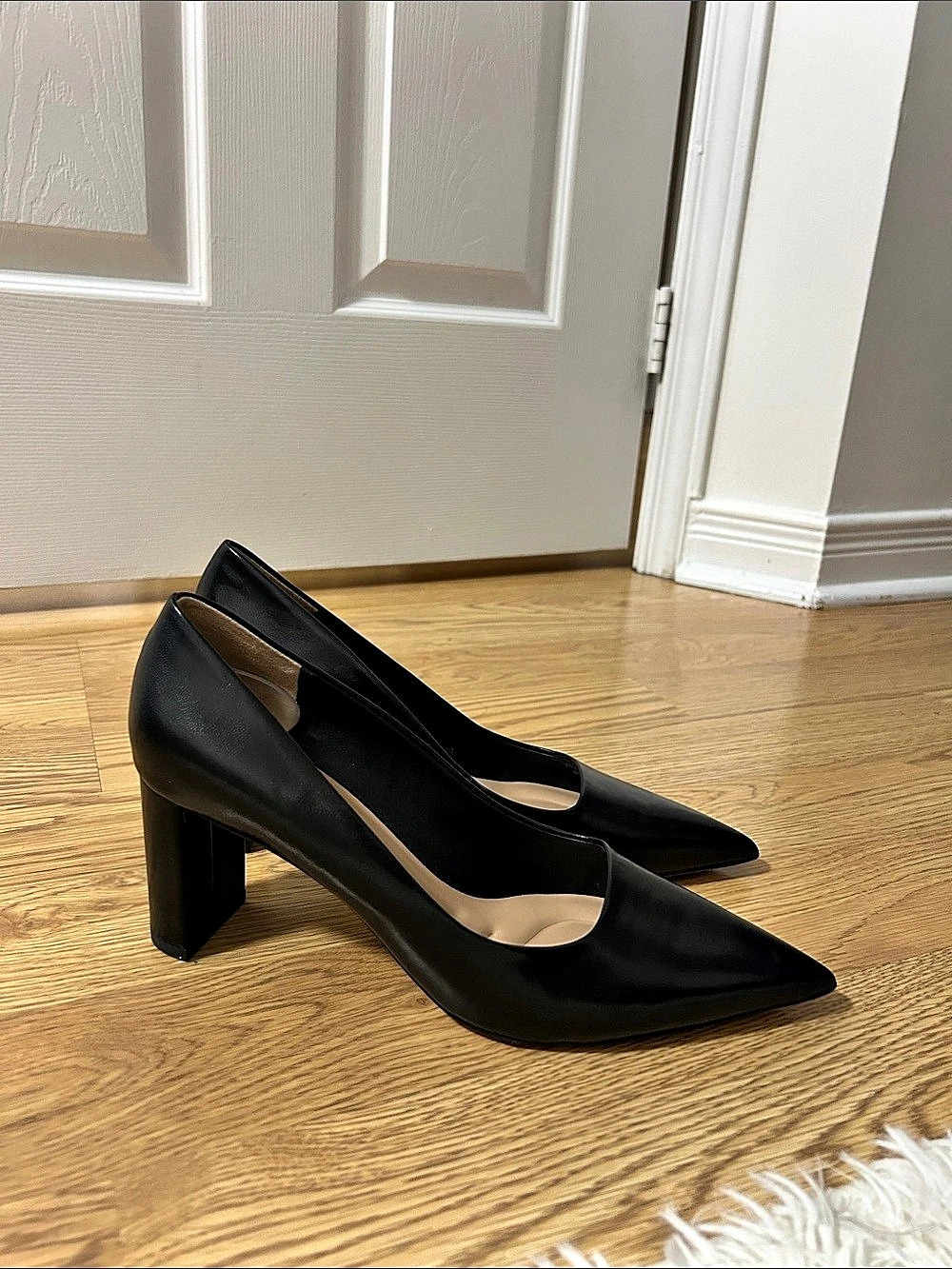 Franco Sarto Racer Pointed Toe Pumps in Black